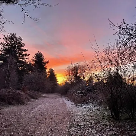 Edelhert, Moderne En Comfortabele Vakantiewoning Met Hottub! 別荘 *