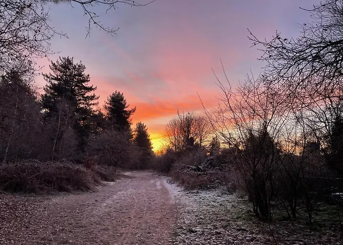 Edelhert, Moderne En Comfortabele Vakantiewoning Met Hottub! Σπίτι διακοπών *